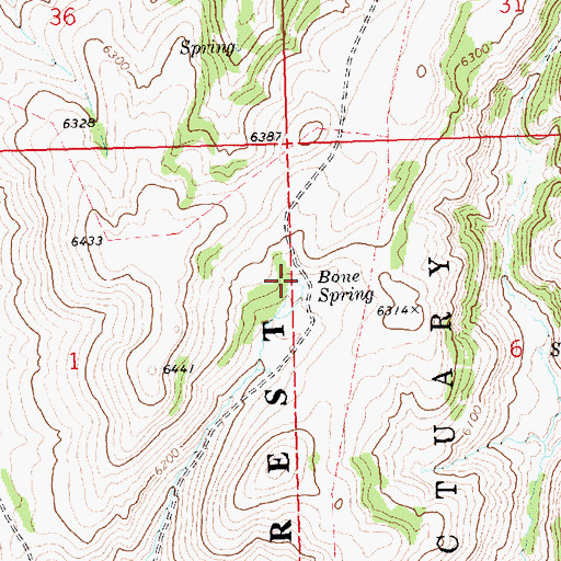 Topographic Map of Bone Spring, ID