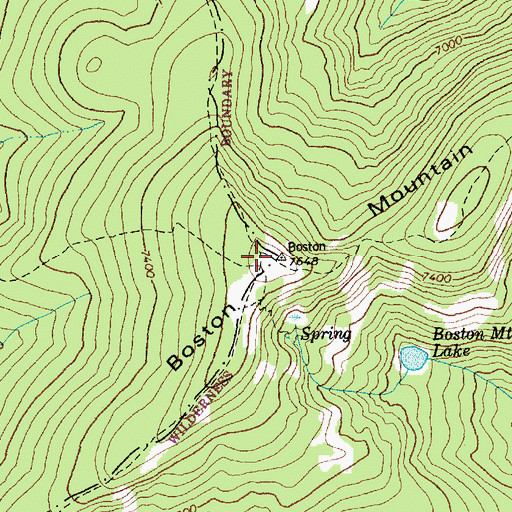 Topographic Map of Boston Mountain, ID