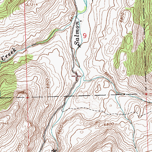 Topographic Map of Bowery Creek, ID