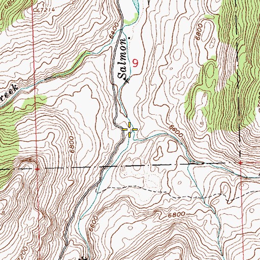 Topographic Map of Bowery Creek, ID