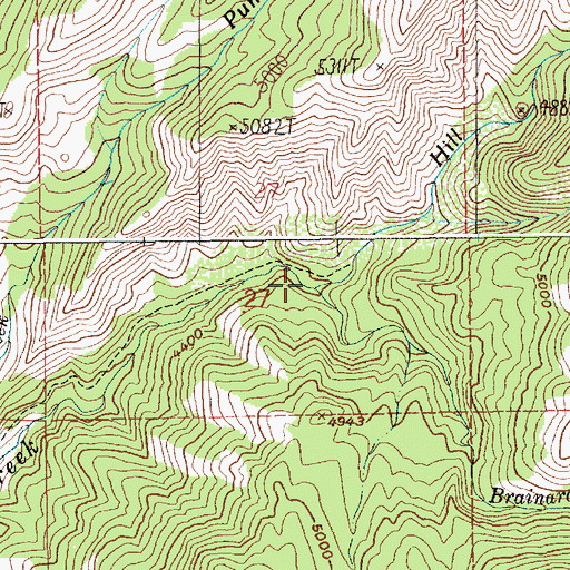 Topographic Map of Brainard Creek, ID