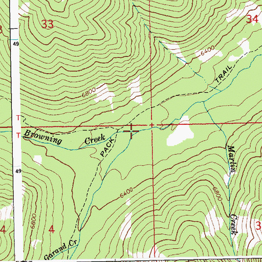 Topographic Map of Browning Creek, ID