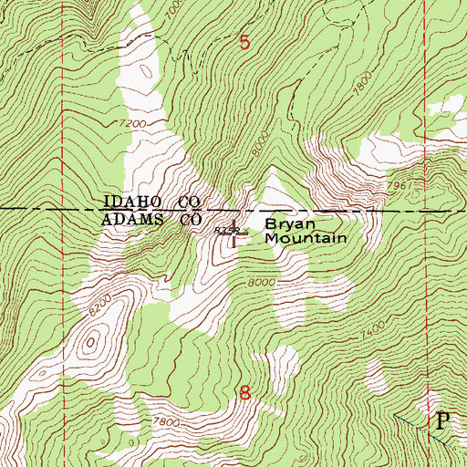 Topographic Map of Bryan Mountain, ID