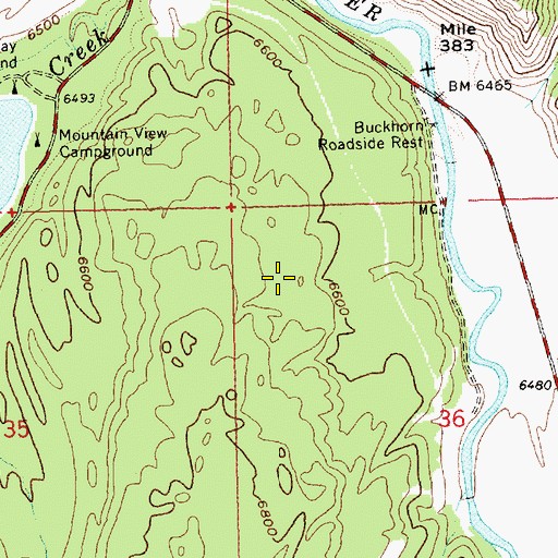 Topographic Map of Buckhorn Roadside Rest, ID
