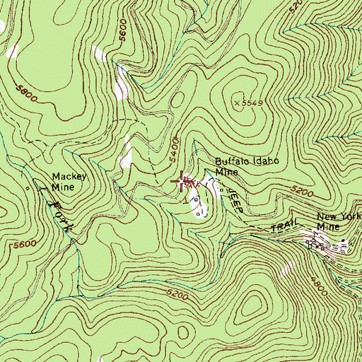 Topographic Map of Buffalo Idaho Mine, ID