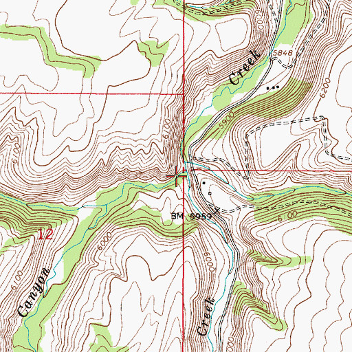 Topographic Map of Calamity Creek, ID