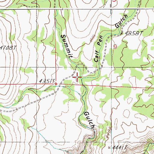 Topographic Map of Calf Pen Gulch, ID
