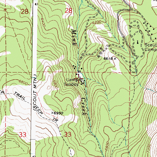 Topographic Map of Camp Tendoy, ID