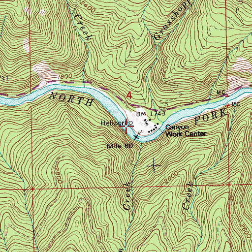 Topographic Map of Canyon Ranger Station, ID