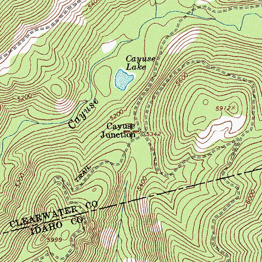 Topographic Map of Cayuse Junction, ID