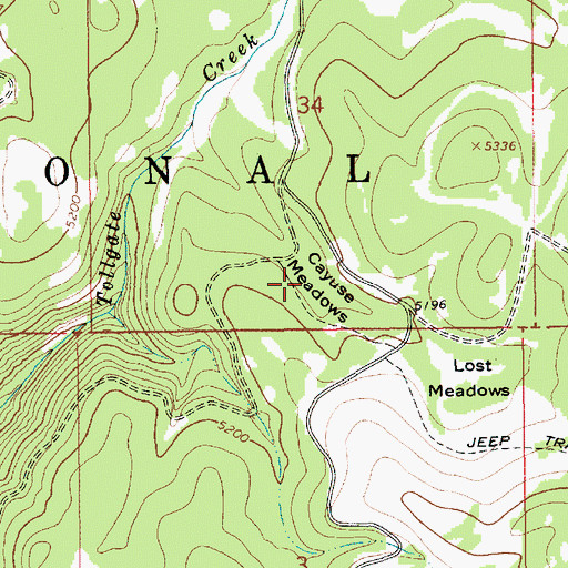 Topographic Map of Cayuse Meadows, ID