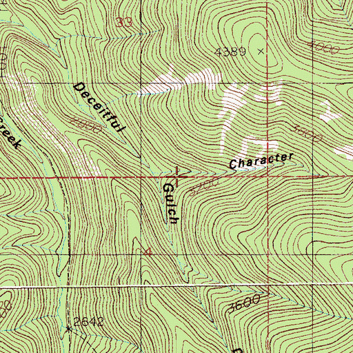 Topographic Map of Character Gulch, ID