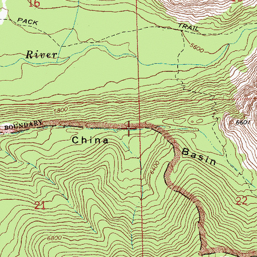 Topographic Map of China Basin, ID