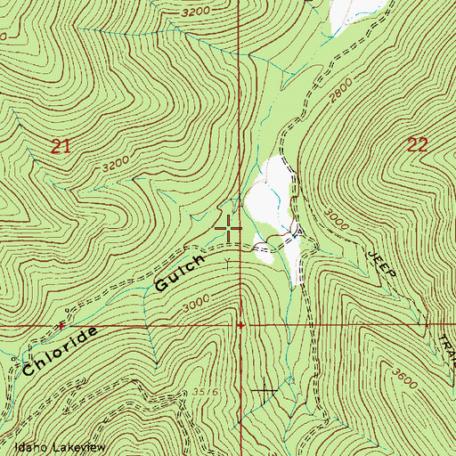 Topographic Map of Chloride Gulch, ID