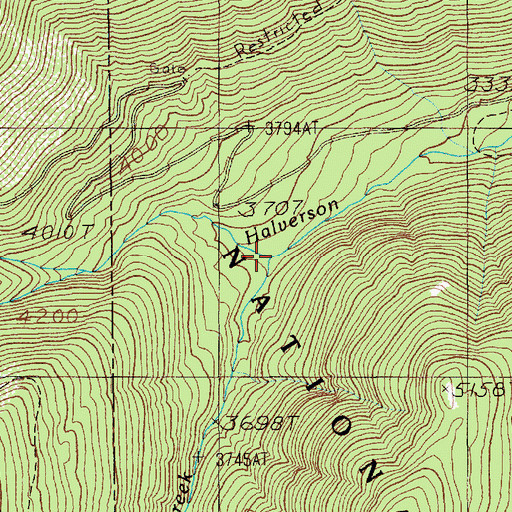 Topographic Map of Cliff Creek, ID