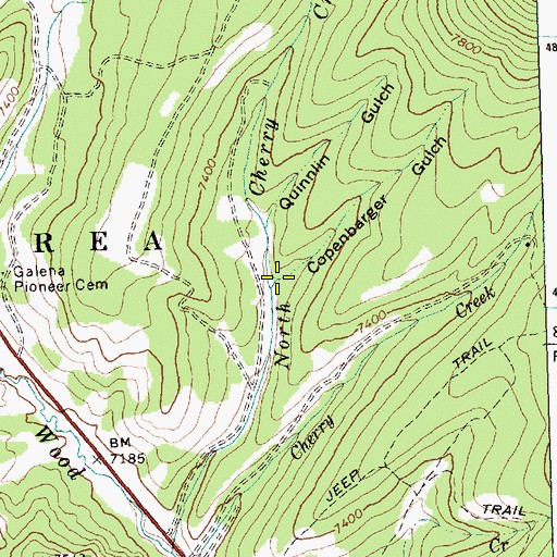 Topographic Map of Copenbarger Gulch, ID