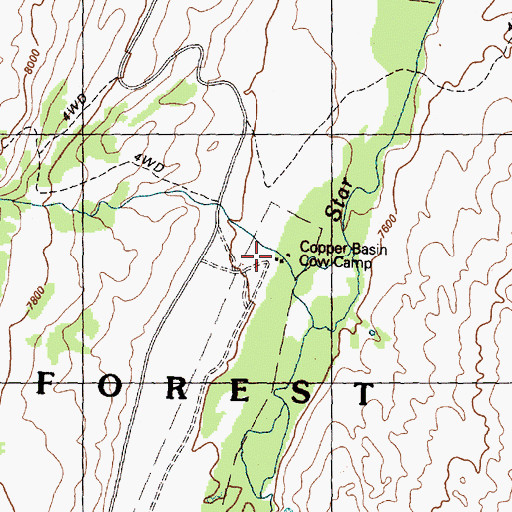 Topographic Map of Copper Basin Cow Camp, ID