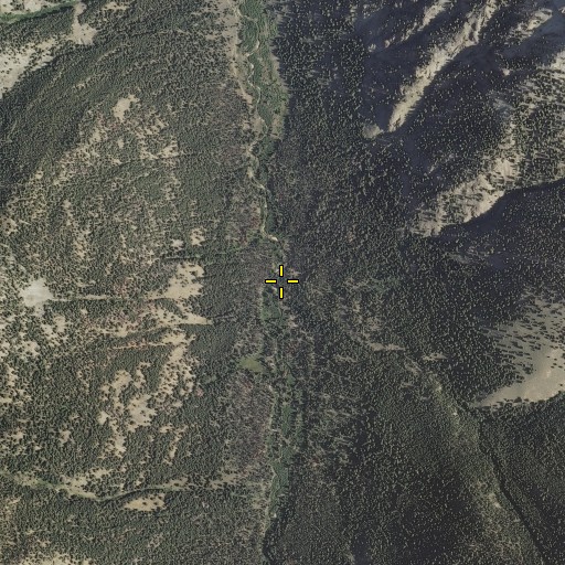 Aerial/Satellite Image of Cougar Canyon, ID