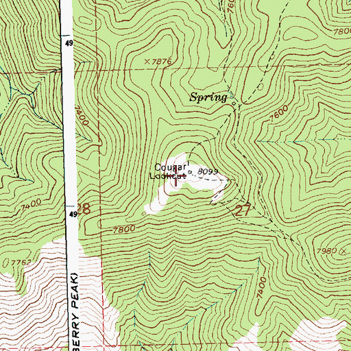 Topographic Map of Cougar Lookout, ID