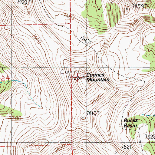 Topographic Map of Council Mountain, ID
