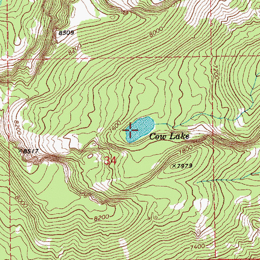 Topographic Map of Cow Lake, ID