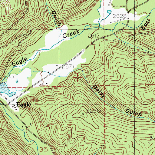 Topographic Map of Daisy Gulch, ID