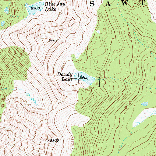 Topographic Map of Dandy Lake, ID