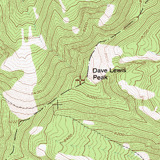 Topographic Map of Dave Lewis Peak, ID