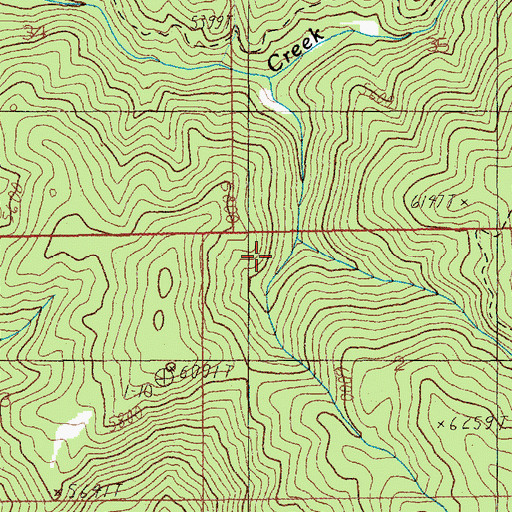 Topographic Map of Dead Horse Creek, ID