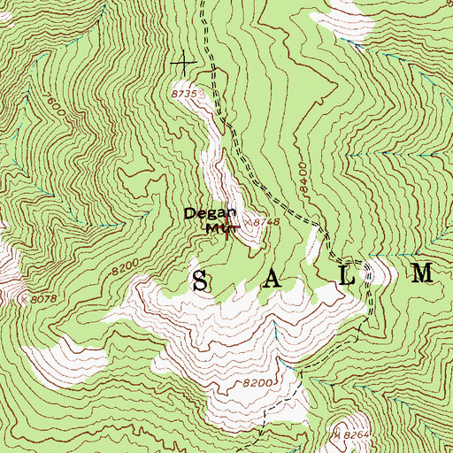 Topographic Map of Degan Mountain, ID