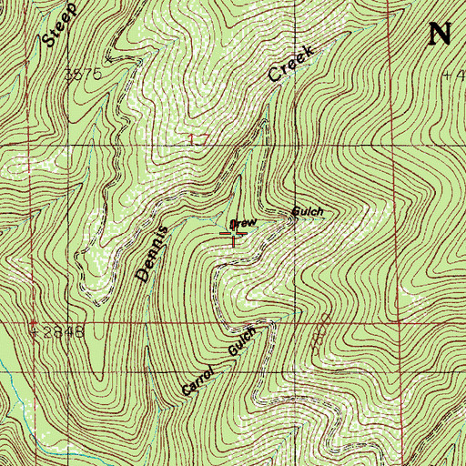 Topographic Map of Drew Gulch, ID