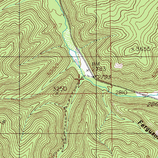 Topographic Map of Dudley Creek, ID