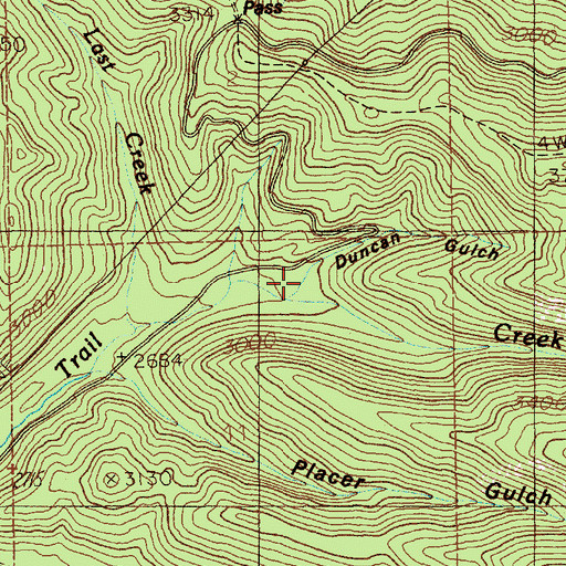 Topographic Map of Duncan Gulch, ID