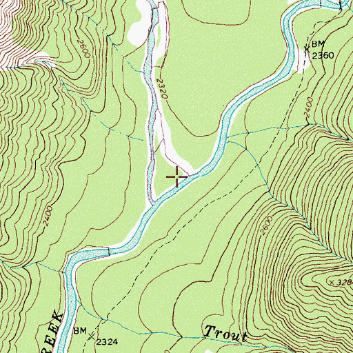 Topographic Map of East Fork Moose Creek, ID