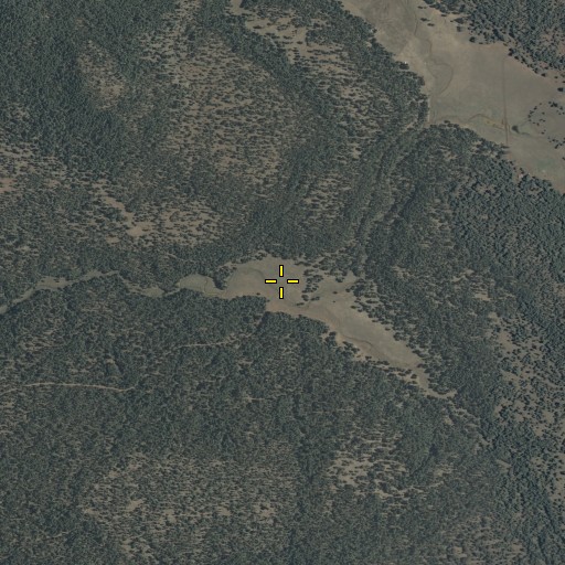 Aerial/Satellite Image of Tree Spring, AZ