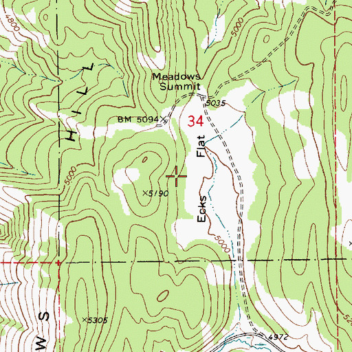 Topographic Map of Ecks Flat, ID
