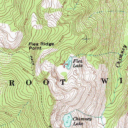 Topographic Map of Flea Lake, ID
