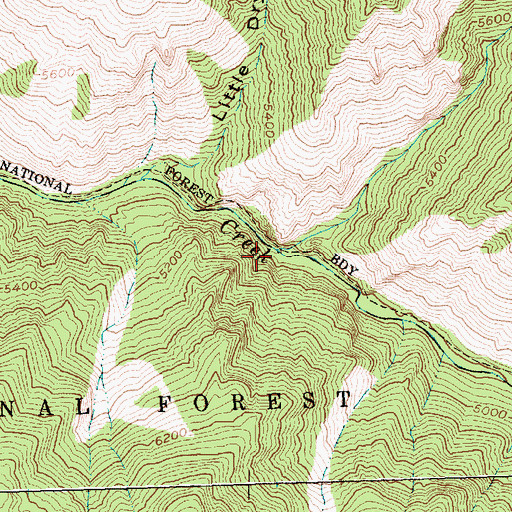 Topographic Map of Forge Creek, ID
