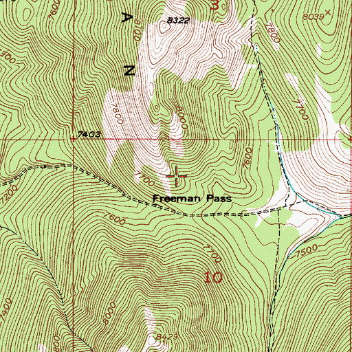 Topographic Map of Freeman Pass, ID