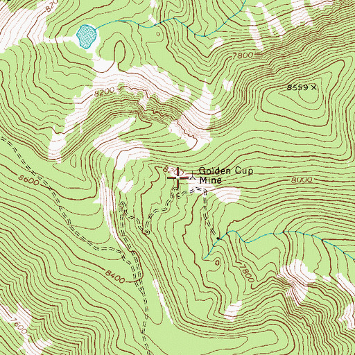 Topographic Map of Golden Cup Mine, ID
