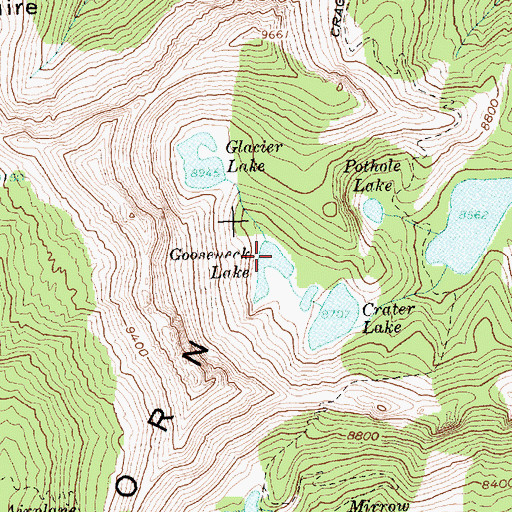 Topographic Map of Gooseneck Lake, ID