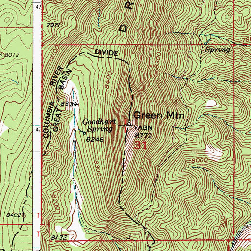 Topographic Map of Green Mountain, ID