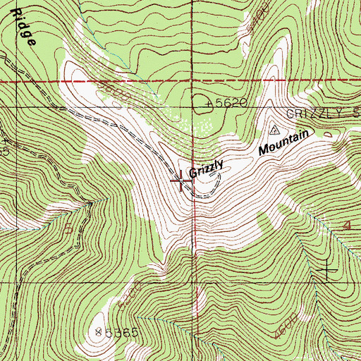 Topographic Map of Grizzly Mountain, ID