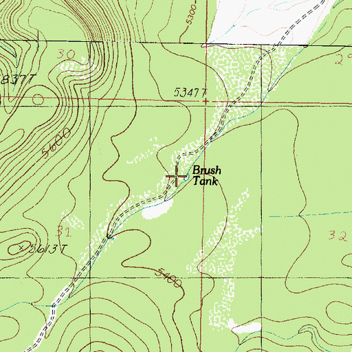Topographic Map of Brush Tank, AZ