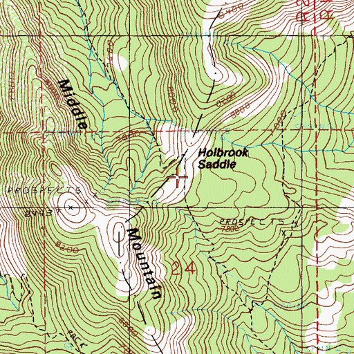 Topographic Map of Holbrook Saddle, ID
