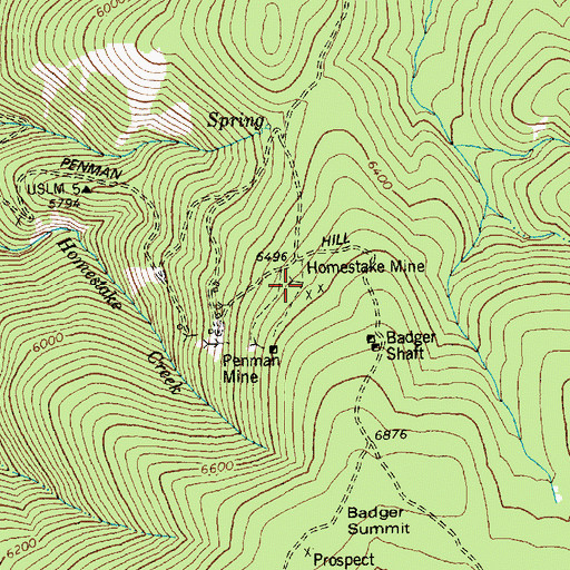 Topographic Map of Homestake Mine, ID