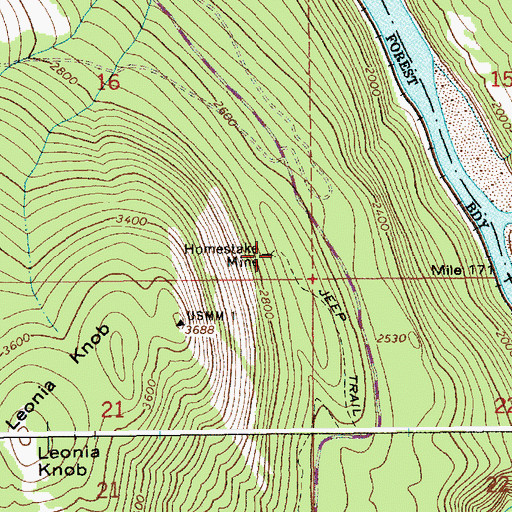 Topographic Map of Homestake Mine, ID