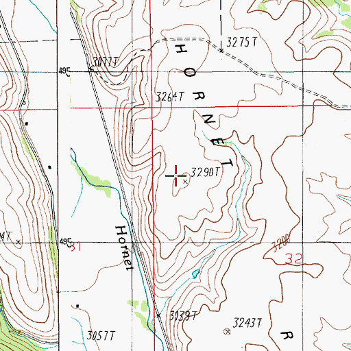Topographic Map of Hornet Ridge, ID