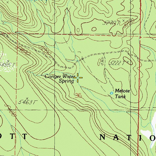 Topographic Map of Conger Spring, AZ
