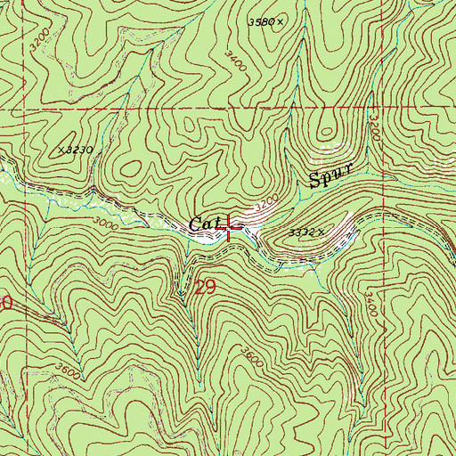 Topographic Map of Kitten Creek, ID